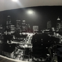 Frosted Film + Wall Wraps